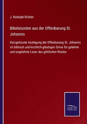 bokomslag Bibelstunden aus der Offenbarung St. Johannis