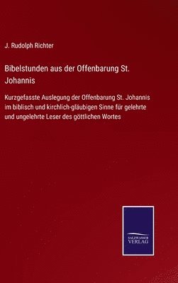 bokomslag Bibelstunden aus der Offenbarung St. Johannis