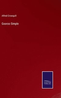 bokomslag Gooroo Simple