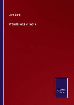 bokomslag Wanderings in India
