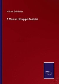 bokomslag A Manual Blowpipe-Analysis