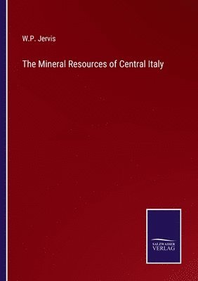 bokomslag Mineral Resources of Central Italy