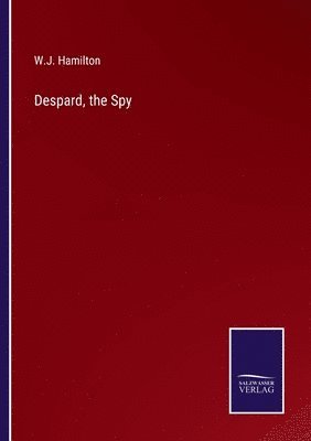 bokomslag Despard, the Spy