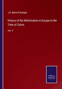 bokomslag History of the Reformation in Europe in the Time of Calvin