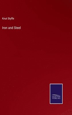 bokomslag Iron and Steel