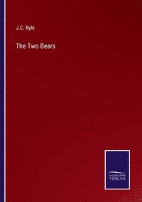 bokomslag Two Bears