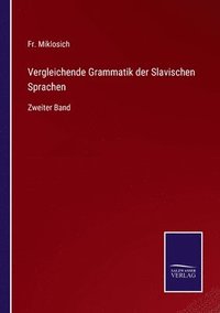 bokomslag Vergleichende Grammatik der Slavischen Sprachen