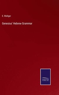 bokomslag Genesius' Hebrew Grammar