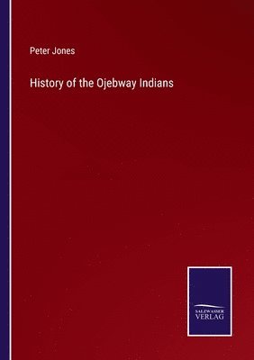 bokomslag History of the Ojebway Indians