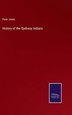 bokomslag History of the Ojebway Indians