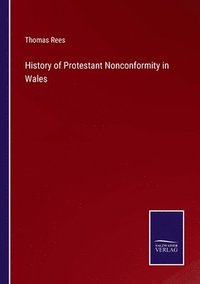 bokomslag History of Protestant Nonconformity in Wales