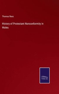 bokomslag History of Protestant Nonconformity in Wales