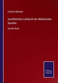 bokomslag Ausfhrliches Lehrbuch der Hebrischen Sprache