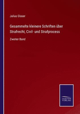 bokomslag Gesammelte kleinere Schriften ber Strafrecht, Civil- und Strafprocess