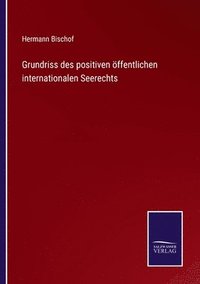 bokomslag Grundriss des positiven öffentlichen internationalen Seerechts