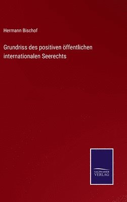 bokomslag Grundriss des positiven öffentlichen internationalen Seerechts