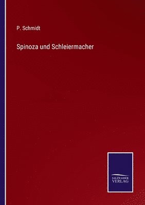 bokomslag Spinoza und Schleiermacher