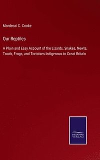 bokomslag Our Reptiles