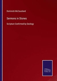 bokomslag Sermons in Stones