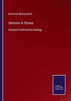 bokomslag Sermons in Stones