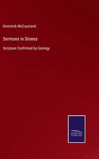 bokomslag Sermons in Stones
