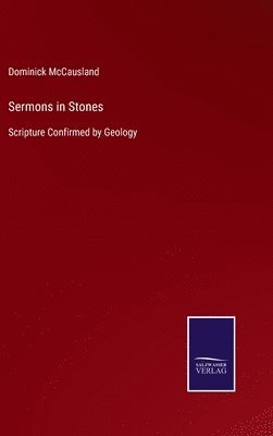 bokomslag Sermons in Stones