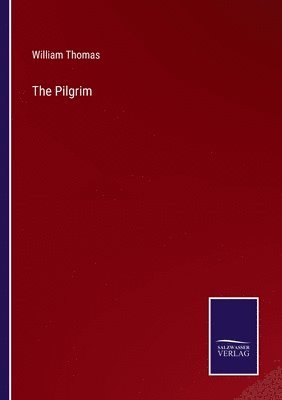bokomslag Pilgrim