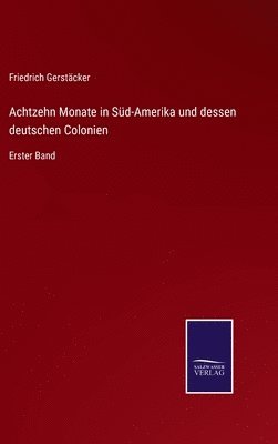 bokomslag Achtzehn Monate in Sd-Amerika und dessen deutschen Colonien