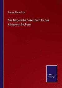 bokomslag Das Brgerliche Gesetzbuch fr das Knigreich Sachsen
