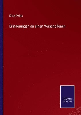 bokomslag Erinnerungen an einen Verschollenen
