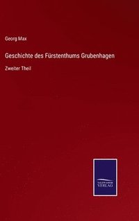 bokomslag Geschichte des Frstenthums Grubenhagen