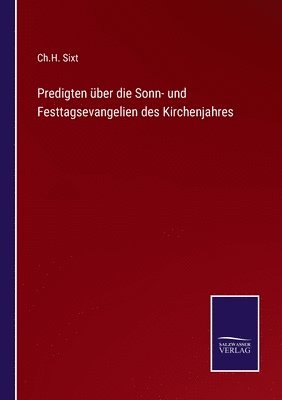 bokomslag Predigten ber die Sonn- und Festtagsevangelien des Kirchenjahres