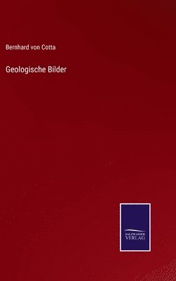 bokomslag Geologische Bilder