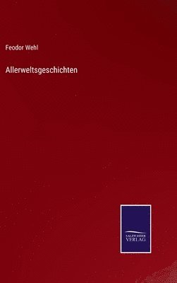 bokomslag Allerweltsgeschichten