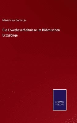 bokomslag Erwerbsverhältnisse im Böhmischen Erzgebirge