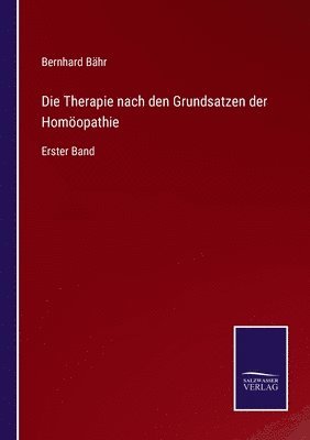 bokomslag Die Therapie nach den Grundsatzen der Homopathie