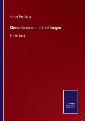 bokomslag Kleine Romane und Erzählungen