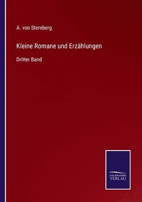 bokomslag Kleine Romane und Erzhlungen