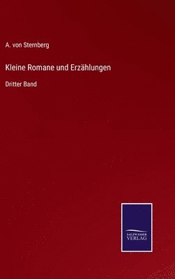 bokomslag Kleine Romane und Erzhlungen