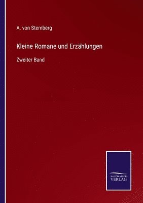 bokomslag Kleine Romane und Erzhlungen