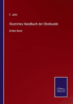 bokomslag Illustrirtes Handbuch der Obstkunde