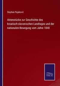 bokomslag Aktenstcke zur Geschichte des kroatisch-slavonischen Landtages und der nationalen Bewegung vom Jahre 1848