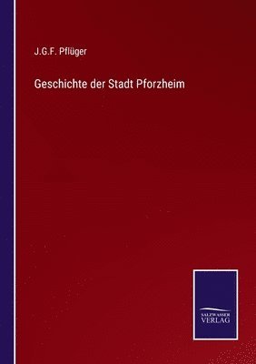 bokomslag Geschichte der Stadt Pforzheim