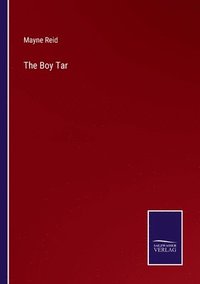 bokomslag Boy Tar