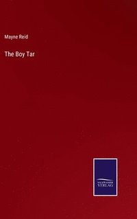 bokomslag Boy Tar