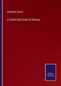 bokomslag A South-Side View of Slavery