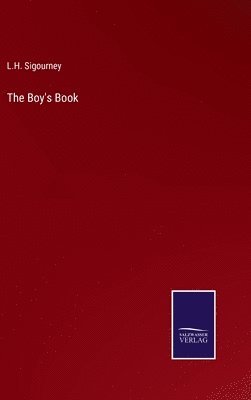 bokomslag The Boy's Book