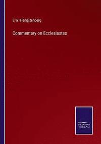 bokomslag Commentary on Ecclesiastes