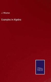 bokomslag Examples in Algebra