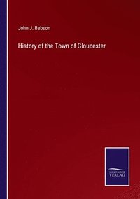 bokomslag History of the Town of Gloucester